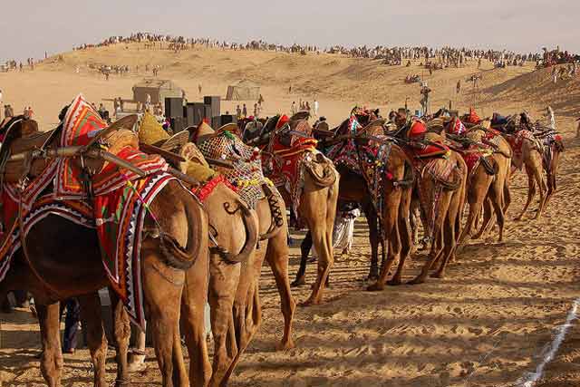 Bikaner Desert Camel Safari Tour